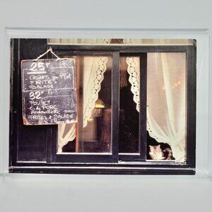 1996 Abbeville Cat Postcard Cat in Window